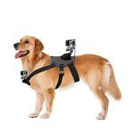 Adjustable Dog Harness Chest and Back Mount - Image 2