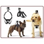 Adjustable Dog Harness Chest and Back Mount - Image 3